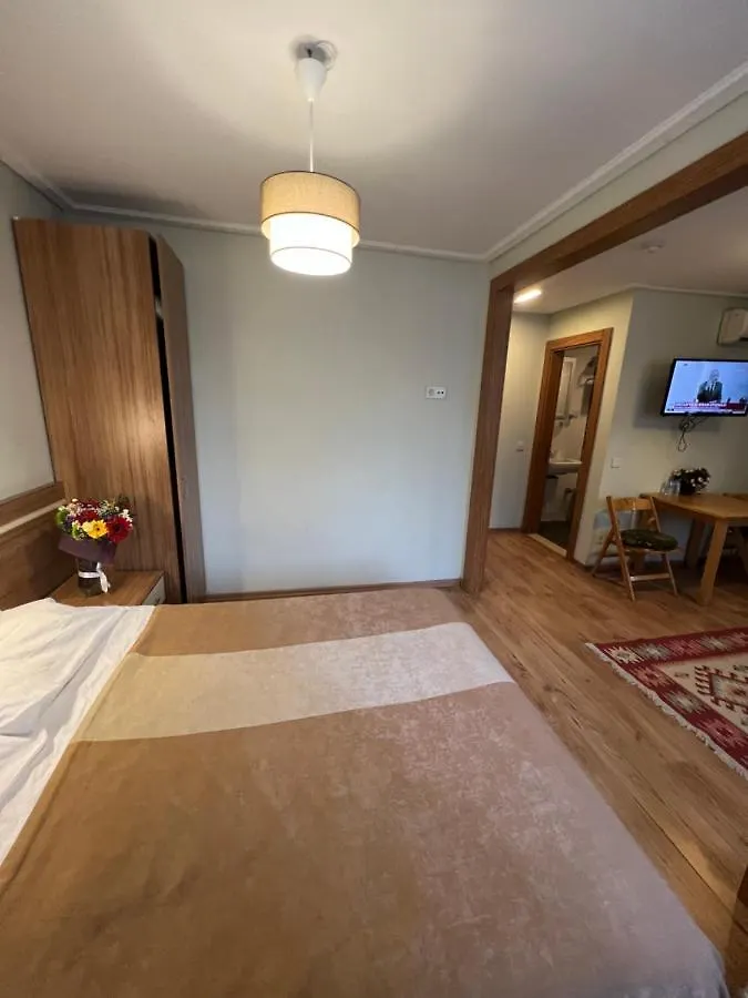 Aparthotel Aycan Sultan Apart Hotel Istanbul Turkey